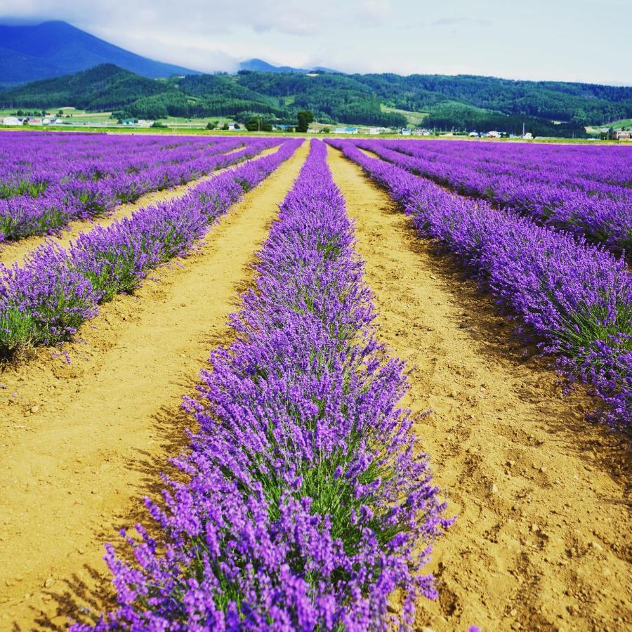 Furano Natulux Hotel מראה חיצוני תמונה
